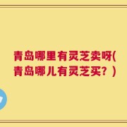 青岛哪里有灵芝卖呀(青岛哪儿有灵芝买？)