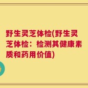 野生灵芝体检(野生灵芝体检：检测其健康素质和药用价值)