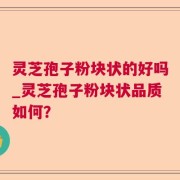 灵芝孢子粉块状的好吗_灵芝孢子粉块状品质如何?