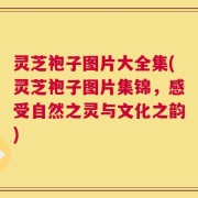 灵芝袍子图片大全集(灵芝袍子图片集锦，感受自然之灵与文化之韵)