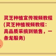 灵芝种植宣传视频教程(灵芝种植视频教程：高品质采摘到销售，一条龙服务)