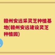 赣州安远采灵芝种植基地(赣州安远建设灵芝种植园)
