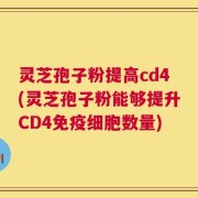 灵芝孢子粉提高cd4(灵芝孢子粉能够提升CD4免疫细胞数量)