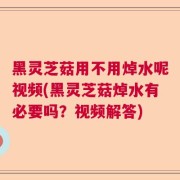 黑灵芝菇用不用焯水呢视频(黑灵芝菇焯水有必要吗?视频解答)