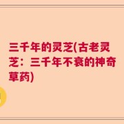 三千年的灵芝(古老灵芝：三千年不衰的神奇草药)