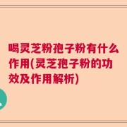 喝灵芝粉孢子粉有什么作用(灵芝孢子粉的功效及作用解析)