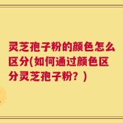 灵芝孢子粉的颜色怎么区分(如何通过颜色区分灵芝孢子粉？)