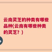 云南灵芝的种类有哪些品种(云南有哪些种类的灵芝？)