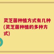 灵芝菌种植方式有几种(灵芝菌种植的多种方式)