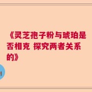 《灵芝孢子粉与琥珀是否相克 探究两者关系的》