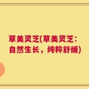 草美灵芝(草美灵芝：自然生长，纯粹舒缓)