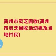 禹州市灵芝回收(禹州市灵芝回收活动惠及当地村民)