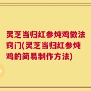 灵芝当归红参炖鸡做法窍门(灵芝当归红参炖鸡的简易制作方法)