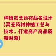 种植灵芝药材起名设计(灵芝药材种植工艺与技术，打造高产高品质新财源)