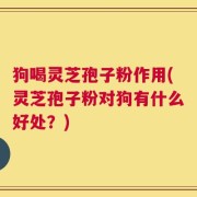 狗喝灵芝孢子粉作用(灵芝孢子粉对狗有什么好处？)