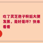 吃了灵芝孢子粉后大便发黑，是好是坏？快来看看