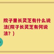 院子里长灵芝有什么说法(院子长灵芝有何说法？)