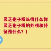灵芝孢子粉长得什么样灵芝孢子粉的外观和特征是什么？)