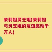 茉莉姐灵芝姐(茉莉姐与灵芝姐的友谊感动千万人)
