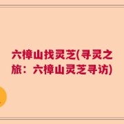 六樟山找灵芝(寻灵之旅：六樟山灵芝寻访)