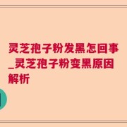 灵芝孢子粉发黑怎回事_灵芝孢子粉变黑原因解析