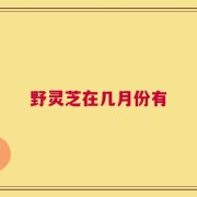 野灵芝在几月份有