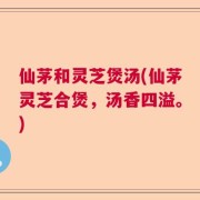 仙茅和灵芝煲汤(仙茅灵芝合煲，汤香四溢。)
