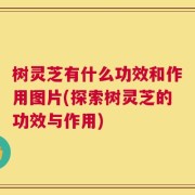 树灵芝有什么功效和作用图片(探索树灵芝的功效与作用)