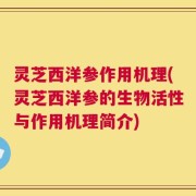 灵芝西洋参作用机理(灵芝西洋参的生物活性与作用机理简介)