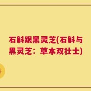 石斛跟黑灵芝(石斛与黑灵芝：草本双壮士)