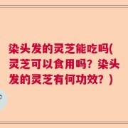 染头发的灵芝能吃吗(灵芝可以食用吗？染头发的灵芝有何功效？)