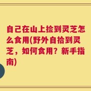 自己在山上捡到灵芝怎么食用(野外自拾到灵芝，如何食用？新手指南)