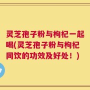 灵芝孢子粉与枸杞一起喝(灵芝孢子粉与枸杞同饮的功效及好处！)