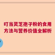 叮当灵芝孢子粉的食用方法与营养价值全解析