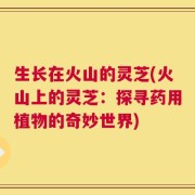 生长在火山的灵芝(火山上的灵芝：探寻药用植物的奇妙世界)