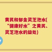 黄芪和郁金灵芝泡水(“健康好水”之黄芪、灵芝泡水的益处)