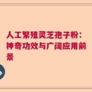 人工繁殖灵芝孢子粉：神奇功效与广阔应用前景