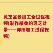 灵芝盆景加工全过程视频(制作精美的灵芝盆景——详细加工过程视频)