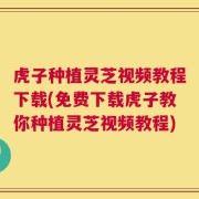 虎子种植灵芝视频教程下载(免费下载虎子教你种植灵芝视频教程)