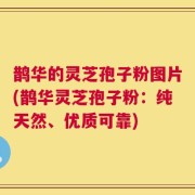 鹊华的灵芝孢子粉图片(鹊华灵芝孢子粉：纯天然、优质可靠)