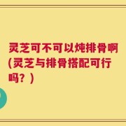 灵芝可不可以炖排骨啊(灵芝与排骨搭配可行吗？)