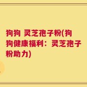 狗狗 灵芝孢子粉(狗狗健康福利：灵芝孢子粉助力)