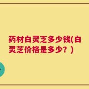 药材白灵芝多少钱(白灵芝价格是多少？)