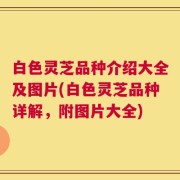 白色灵芝品种介绍大全及图片(白色灵芝品种详解，附图片大全)