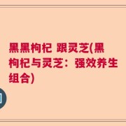 黑黑枸杞 跟灵芝(黑枸杞与灵芝：强效养生组合)