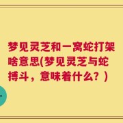 梦见灵芝和一窝蛇打架啥意思(梦见灵芝与蛇搏斗，意味着什么？)