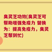 臭灵芝功效(臭灵芝可帮助增强免疫力 替换为：提高免疫力，臭灵芝帮到忙)