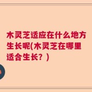 木灵芝适应在什么地方生长呢(木灵芝在哪里适合生长？)