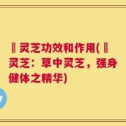 苆灵芝功效和作用(苆灵芝：草中灵芝，强身健体之精华)