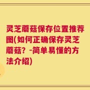 灵芝蘑菇保存位置推荐图(如何正确保存灵芝蘑菇？-简单易懂的方法介绍)